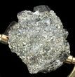 Glimmering Cubic Pyrite Cluster with Stand - Peru #60772-3